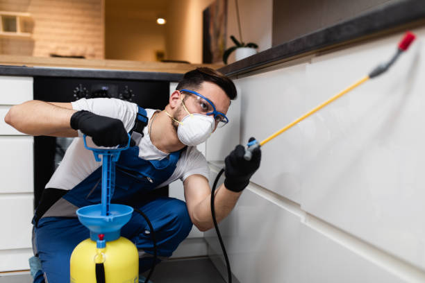 Best Exterminator Services  in Portageville, MO