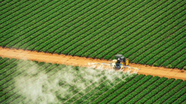 Best Best Pest Control Companies  in Portageville, MO