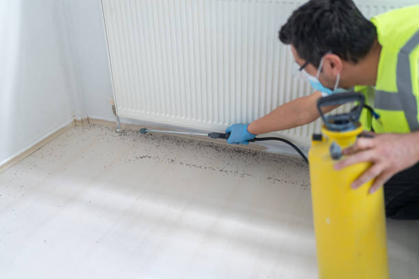 Best Affordable Pest Control Services  in Portageville, MO